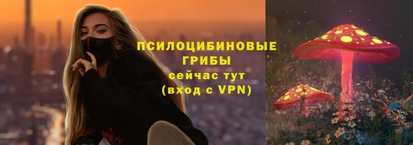 герыч Инта