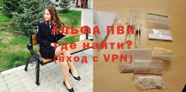 гашик Иннополис