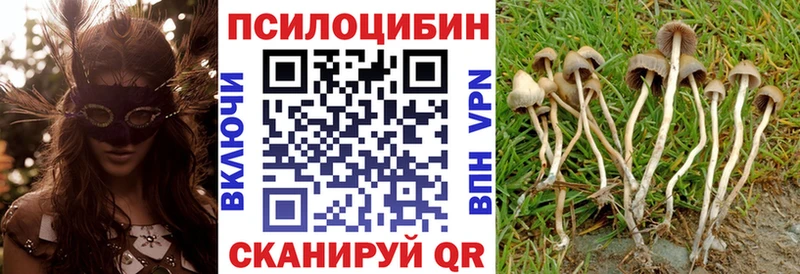 МЕГА зеркало  Камень-на-Оби  дарк нет наркотические препараты  Псилоцибиновые грибы Psilocybe 