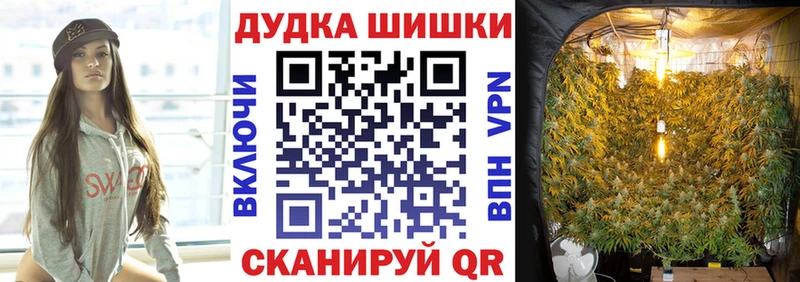 Шишки марихуана ГИДРОПОН как найти наркотики Камень-на-Оби
